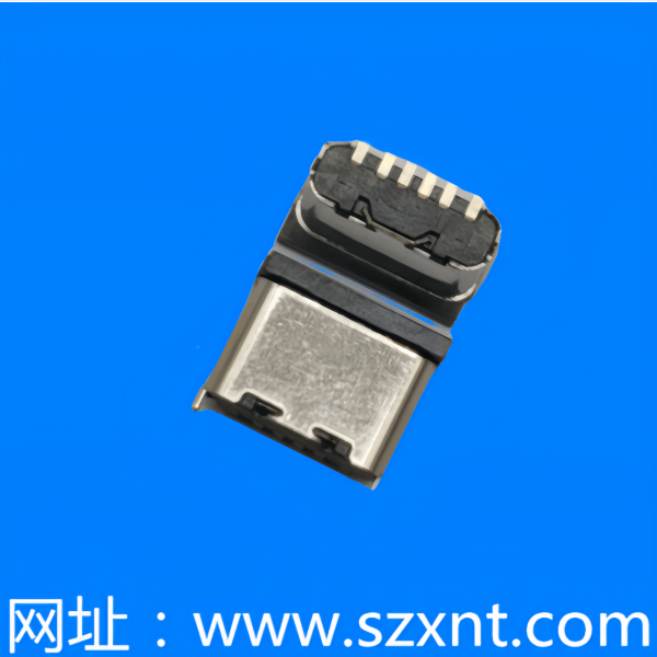 香港TYPE C 6P 立式貼片